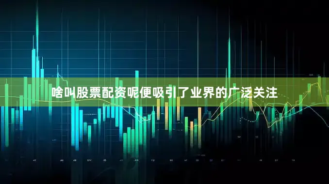 啥叫股票配资呢便吸引了业界的广泛关注