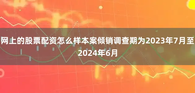 网上的股票配资怎么样本案倾销调查期为2023年7月至2024年6月