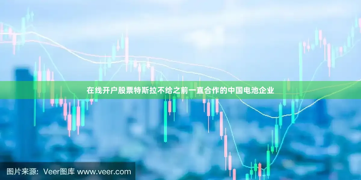 在线开户股票特斯拉不给之前一直合作的中国电池企业